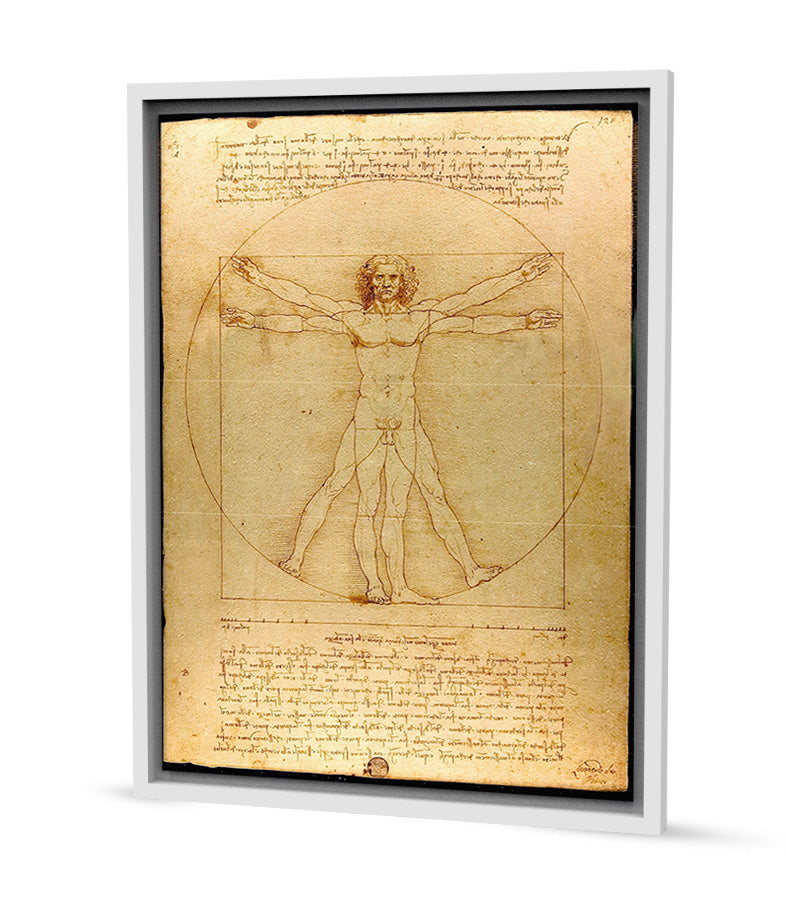 Tableau Décoratif L'Homme de Vitruve