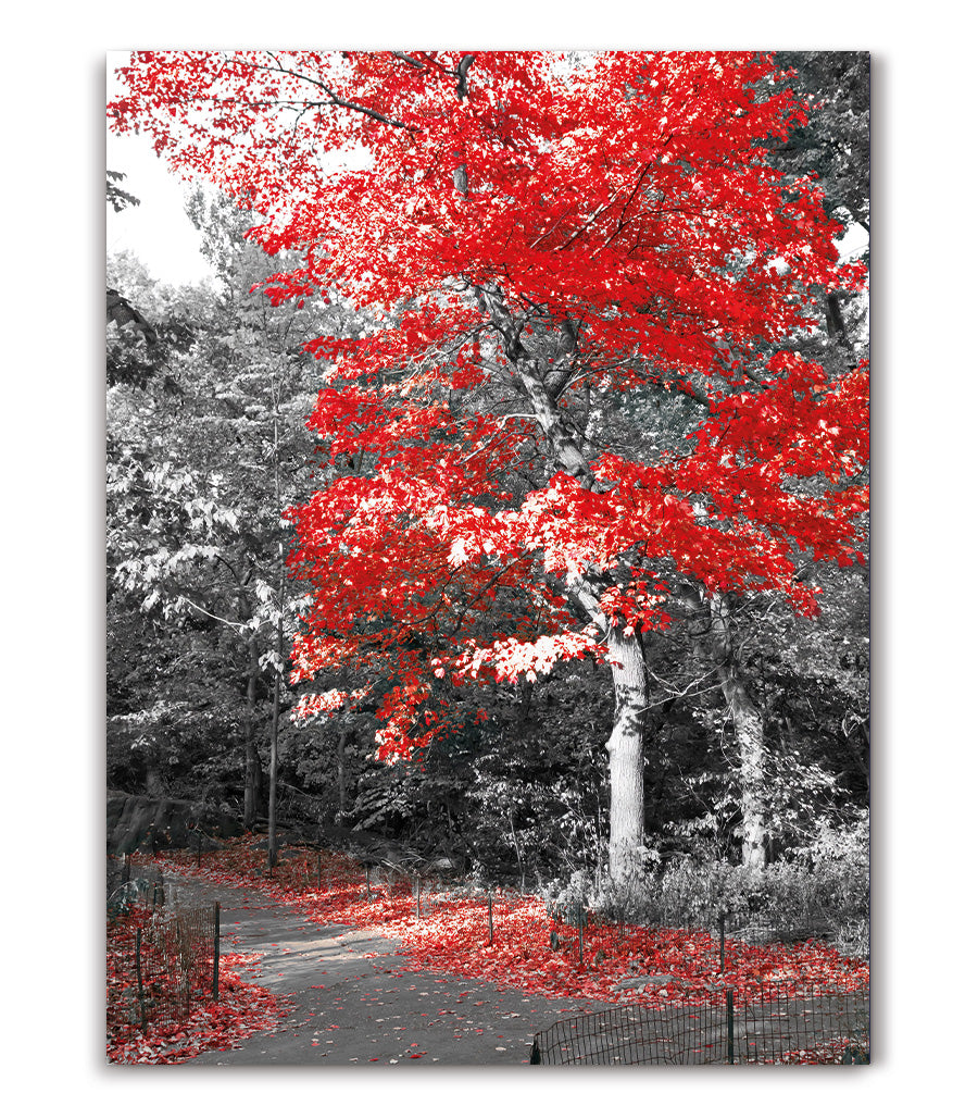 Tableau Nature Automnale Éclatante