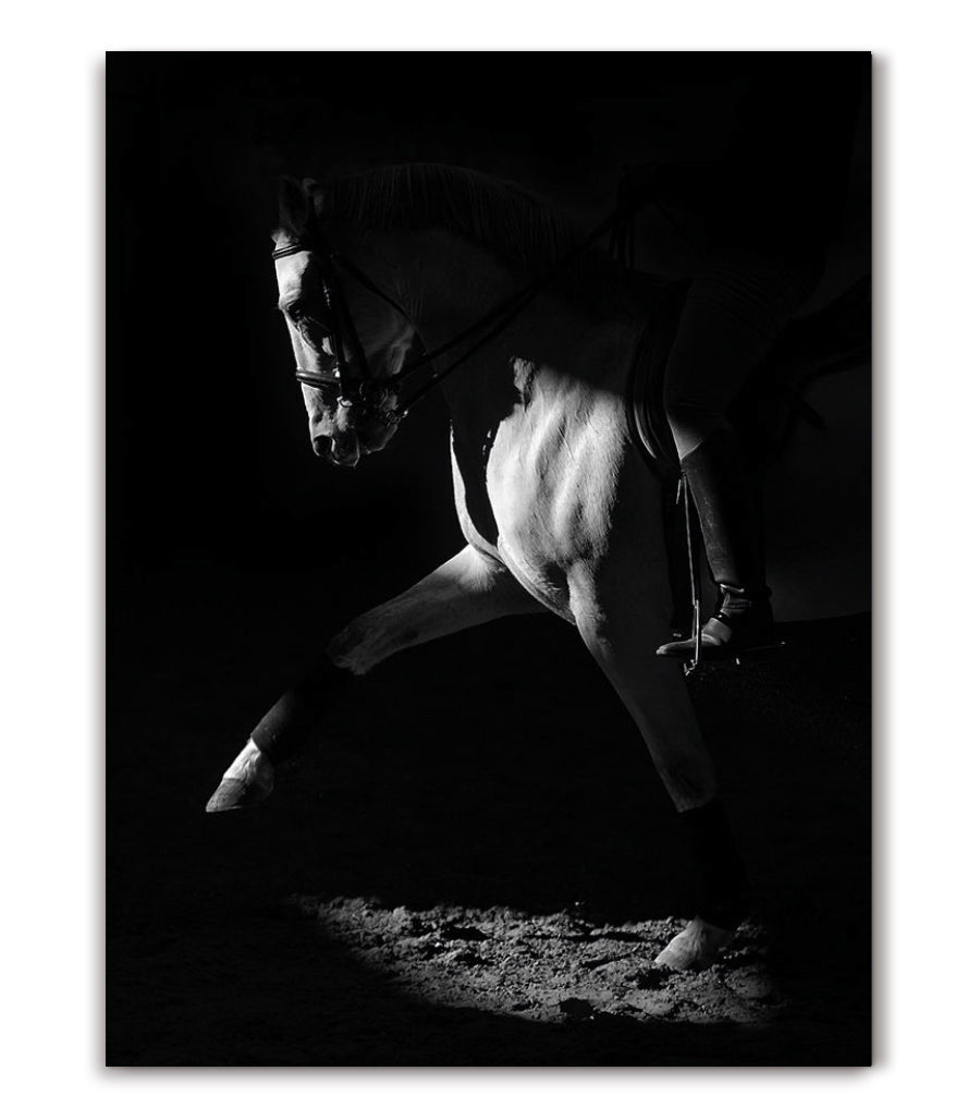 Tableau Décoratif  Éclat Nocturne