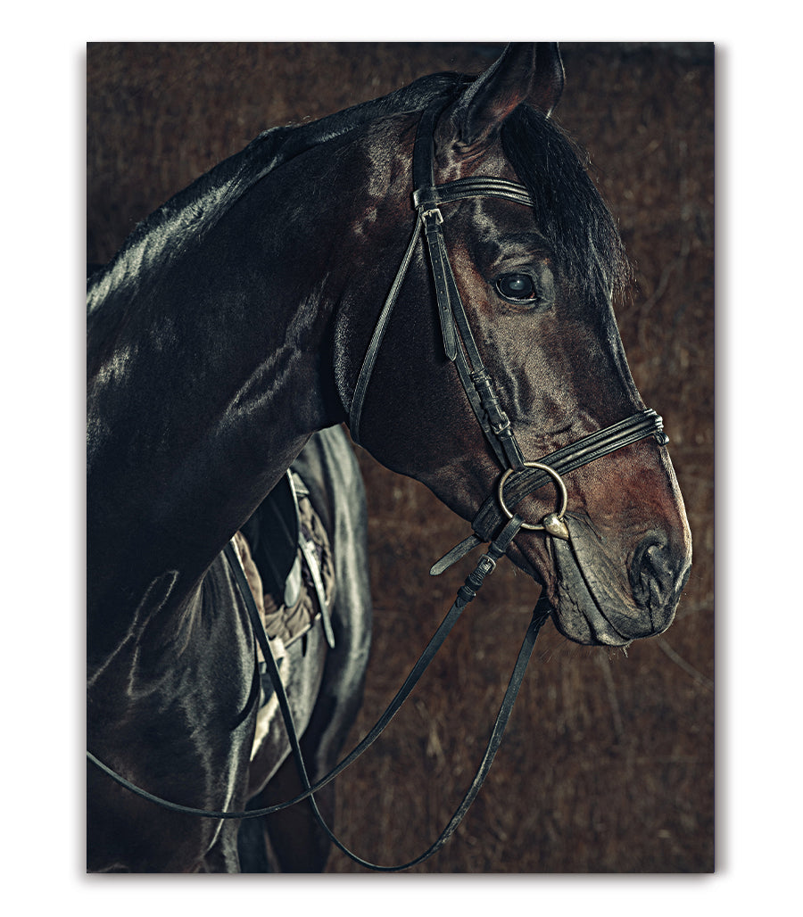 Tableau Décoratif - Sérénité Équestre