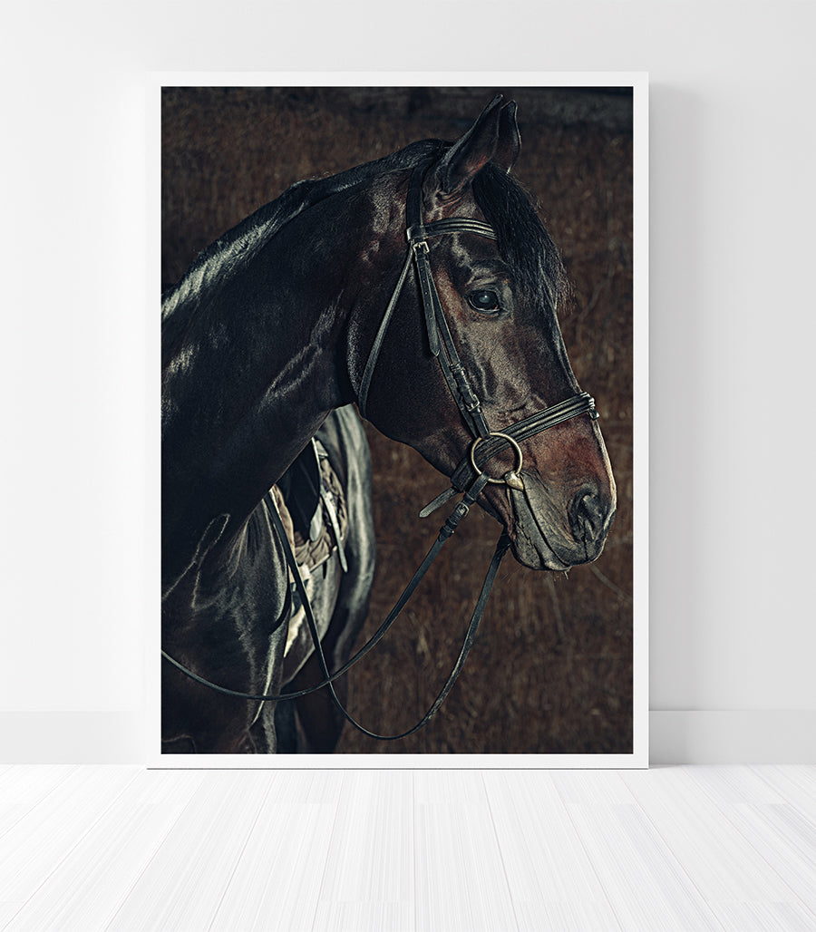 Tableau Décoratif - Sérénité Équestre