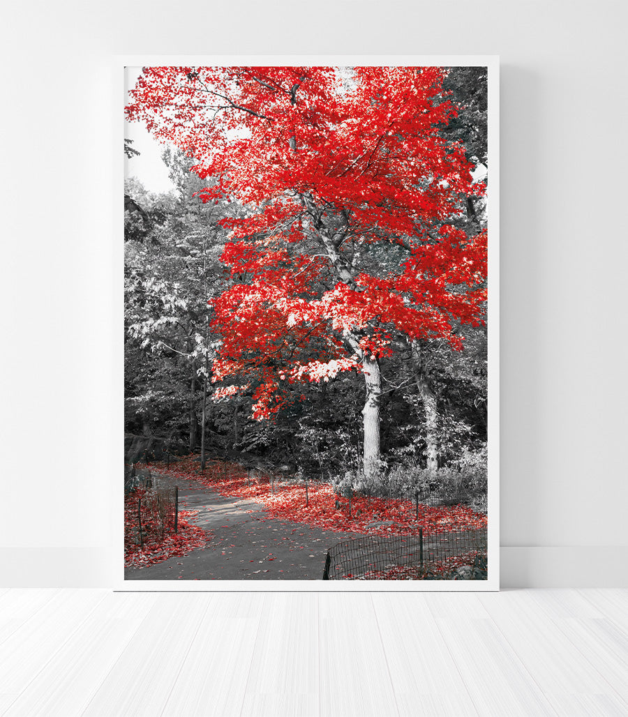 Tableau Nature Automnale Éclatante