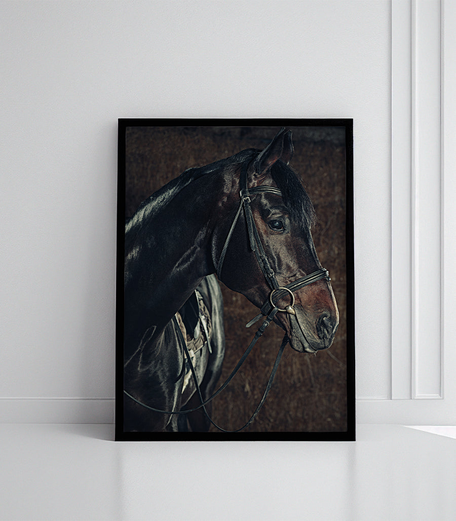 Tableau Décoratif - Sérénité Équestre