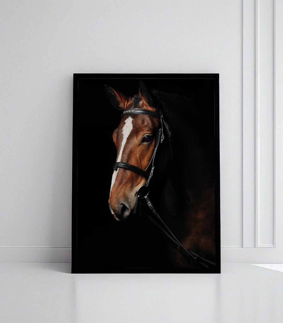 Tableau Décoratif  Portrait Équestre en Noir