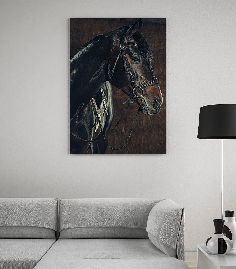 Tableau Décoratif - Sérénité Équestre