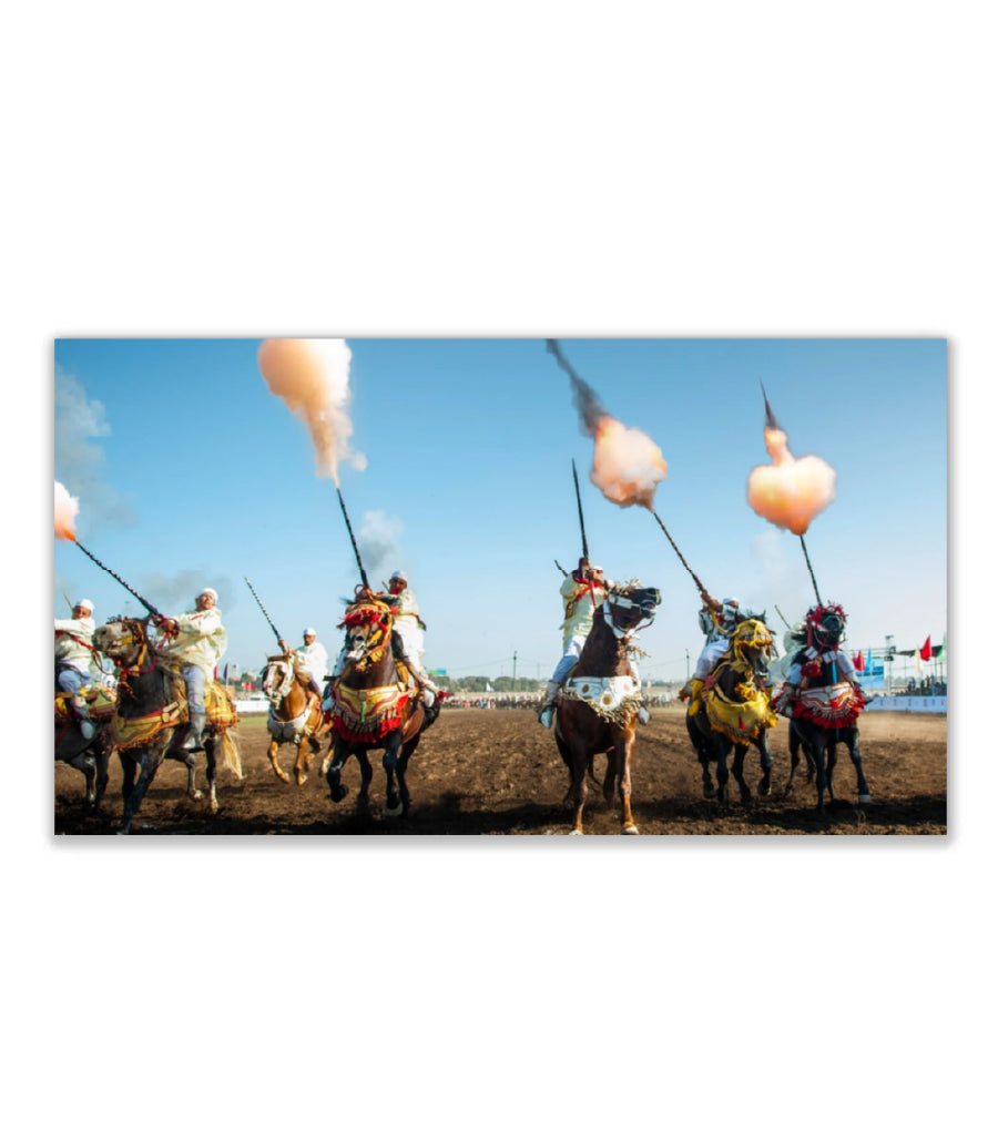 TABLEAU DÉCORATIF SUR VELOURS LA GRÂCE DU CHEVAL