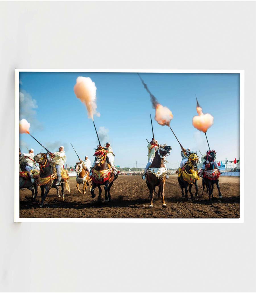 TABLEAU DÉCORATIF SUR VELOURS LA GRÂCE DU CHEVAL