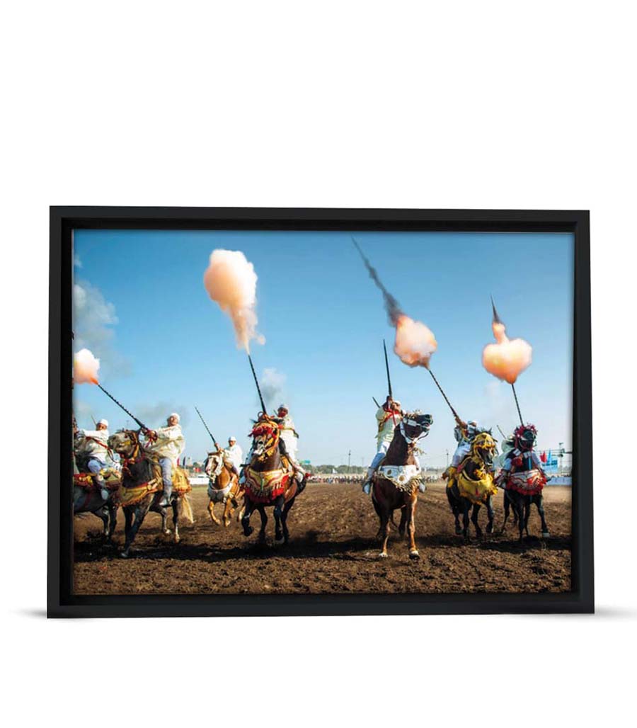 TABLEAU DÉCORATIF SUR VELOURS LA GRÂCE DU CHEVAL