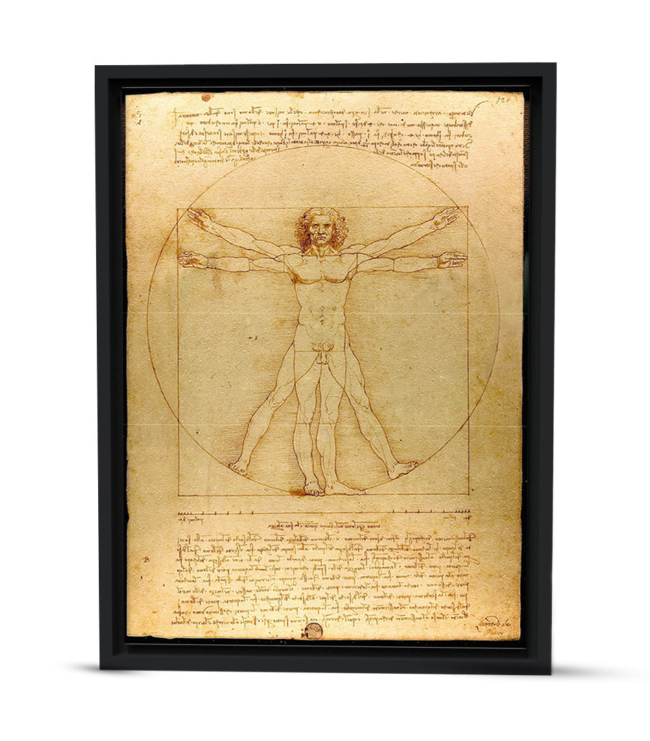 Tableau Décoratif L&#39;Homme de Vitruve