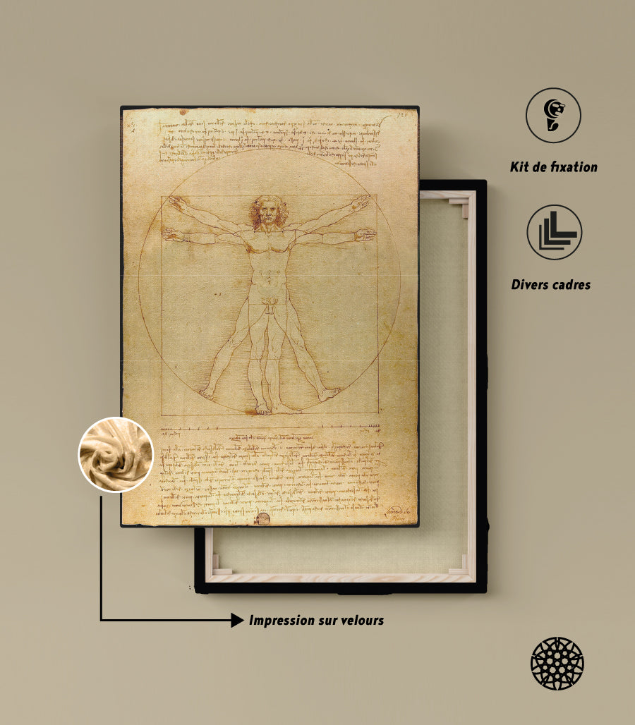 Tableau Décoratif L&#39;Homme de Vitruve