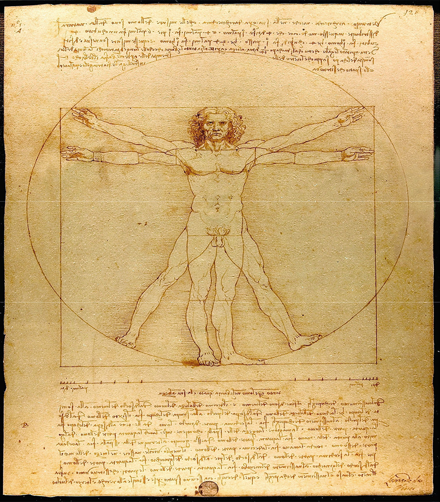 Tableau Décoratif L&#39;Homme de Vitruve